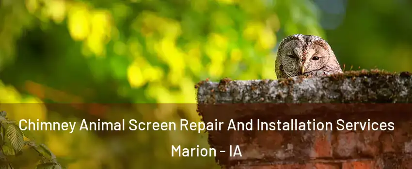 Chimney Animal Screen Repair And Installation Services Marion - IA