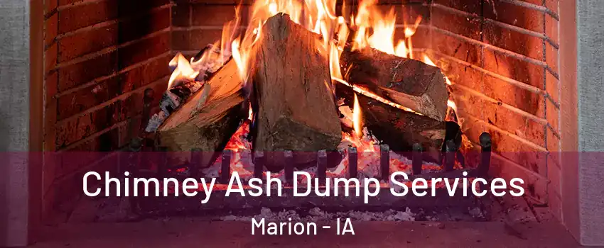  Chimney Ash Dump Services Marion - IA