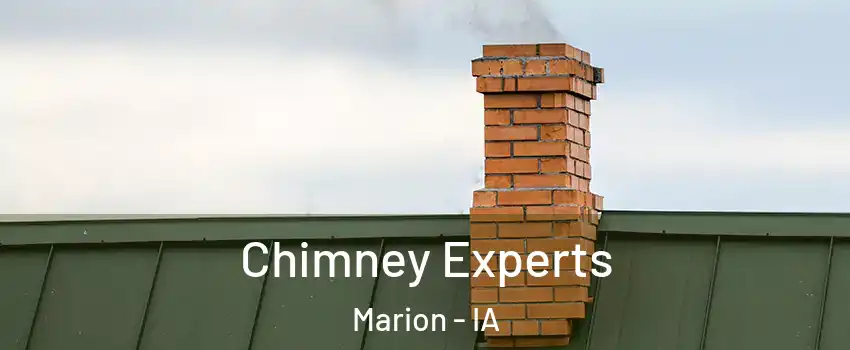 Chimney Experts Marion - IA