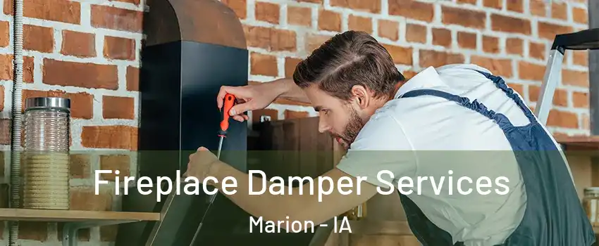  Fireplace Damper Services Marion - IA