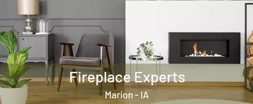  Fireplace Experts Marion - IA
