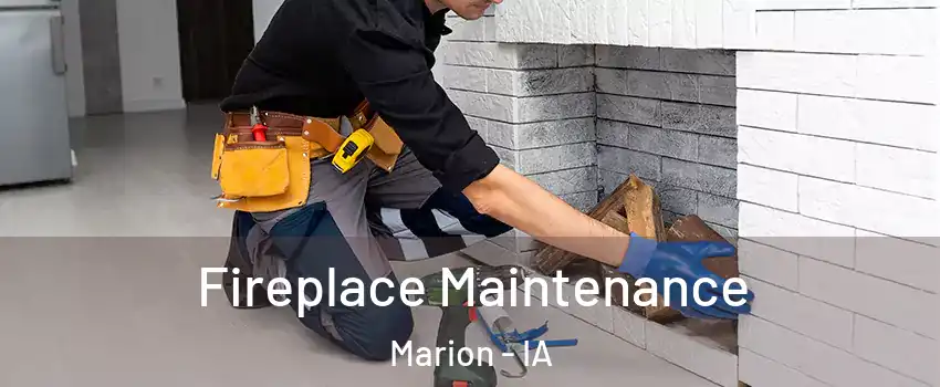  Fireplace Maintenance Marion - IA