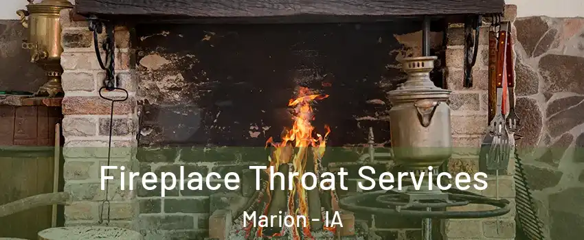  Fireplace Throat Services Marion - IA