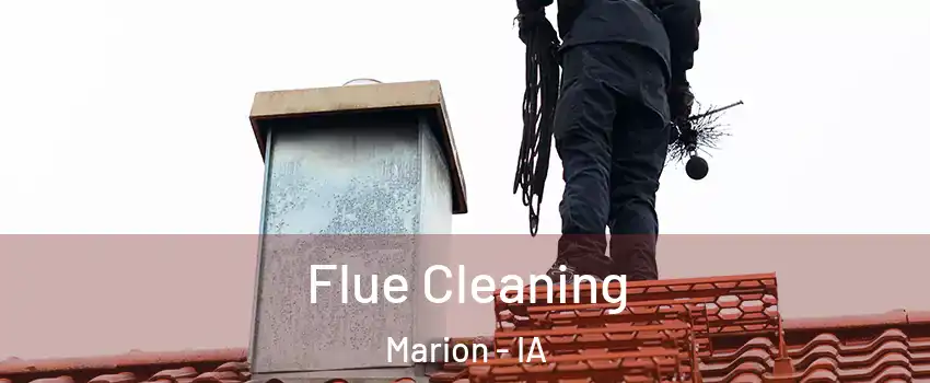 Flue Cleaning Marion - IA