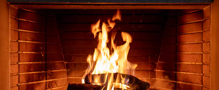 Soot Cleanup Services in Marion, IA