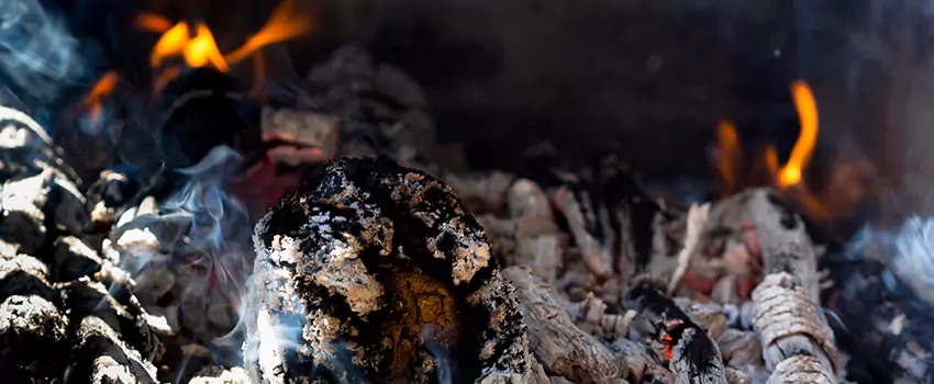 Creosote Removal Experts in Marion, IA