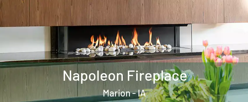  Napoleon Fireplace Marion - IA