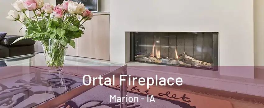 Ortal Fireplace Marion - IA